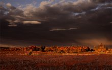 Transparent Autumn on red soil / ***