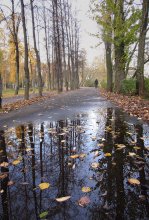 Herbst Allee / ***