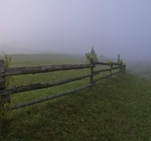 Über Nebel und Hecken ... / ***