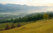 Carpathian Morgen / ******