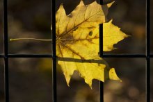 Autumn ... / ***