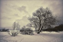 Der Geruch des Winters / *******