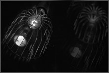 4 Gitter / ***