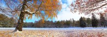 Der erste Herbst Schnee / ***