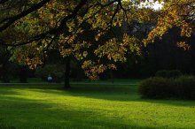 im Herbst Park / ***