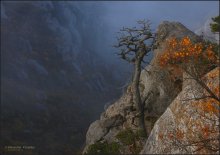 Wächter Demerdzhi ... / ***