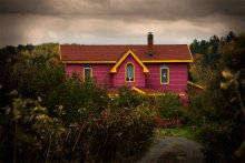 Neverland / Neverland