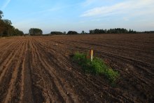 und das Schiff segelt / ***