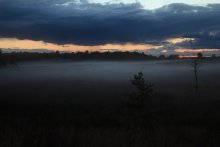 die Felder Nebel und Nässe / ***
