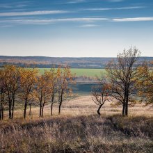 Im Herbst / ***