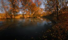 Autumn Skizzen-II / ***