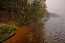 Foggy Beach / ***