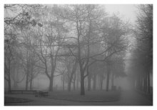 Nebel / ***