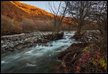 Herbst-Skizzen / ...