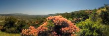 Frühlingsspaziergang / ***