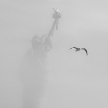 Freedom im Nebel / .....