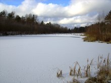 Und der Winter- / ***