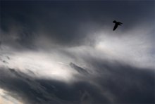 Lumina des Himmels / ***