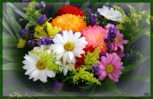 Blumen / ***