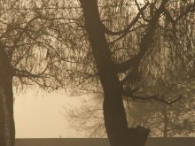 Wall goldenen Nebel / ***