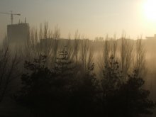 Wall goldenen Nebel / ***