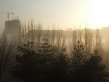 Wall goldenen Nebel / ***