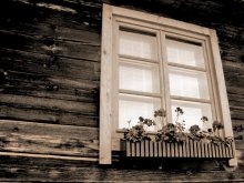 Fenster / ***