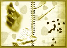 Die Seele des Schriftstellers / ***