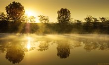 in den nebligen Gold Sonnenaufgang ... / ***