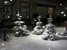 Winterabend in Minsk / ***