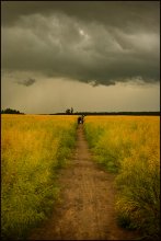 Feld. Wolken. Menschen. / ***