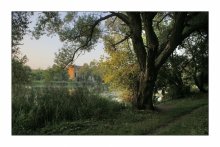 Im Schatten der alten Bäume / ***