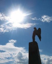 Trauer in der Sonne / ***