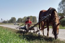 Bereiten Schlitten im Sommer / ***