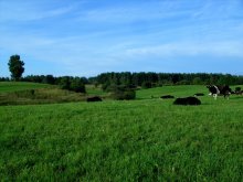 rustikalen Motiv / ***