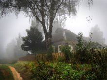 Cottage im Nebel / ***