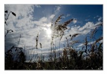 Wenn alle die Rose / ***