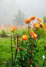 Hallo Herbst / ***
