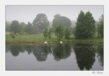 Morgenfrische / ***