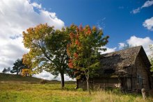 Herbst, Scheune / ***