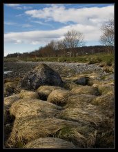 Von langweiligen Strand Kieselsteine ja ... / ***