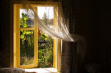 Fenster im Sommer / ***