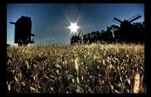 Tiefstehende Sonne / ***