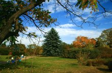 Botanischer Garten / ***