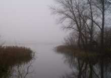Misty im November / ,,,,,,,,,,