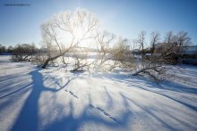 Frost und Sonne ... / ***