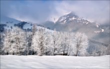 Frosty Morgen in den Karpaten / ***