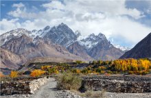 Herbst in den Bergen des Karakorum / ***