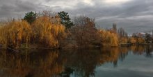 Abend auf dem Teich. / ***