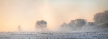 Frost, Nebel und Sonne - ein wunderschöner Tag / ***